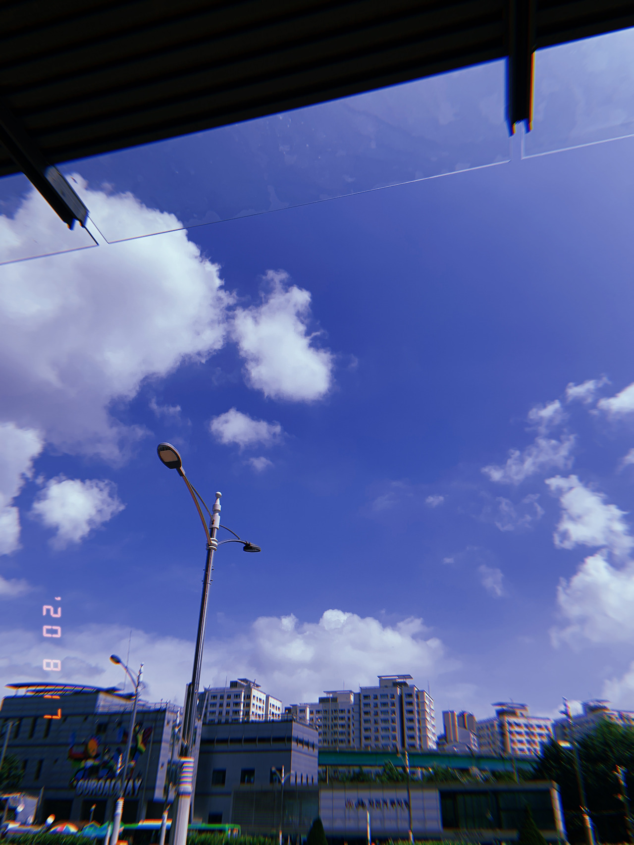 비둘기의 발.jpg