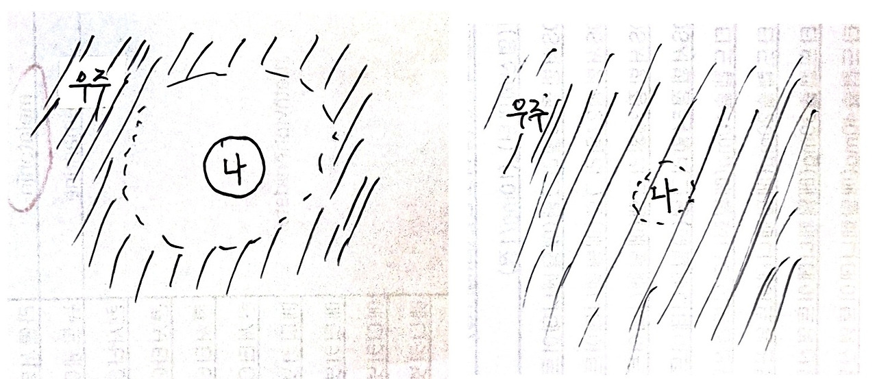 1595. pluripotent vs pseudo-2.jpg