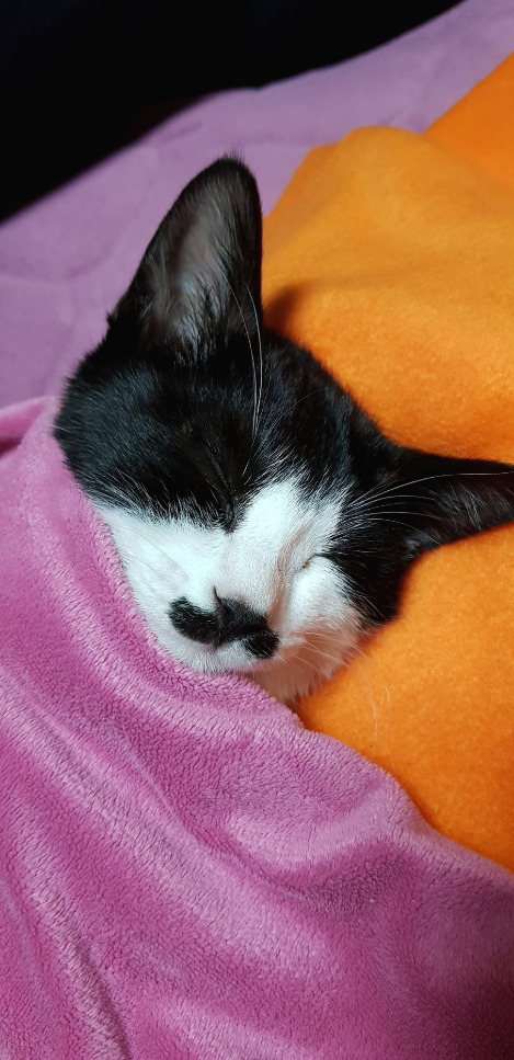 20190122_212121 - 복사본.jpg