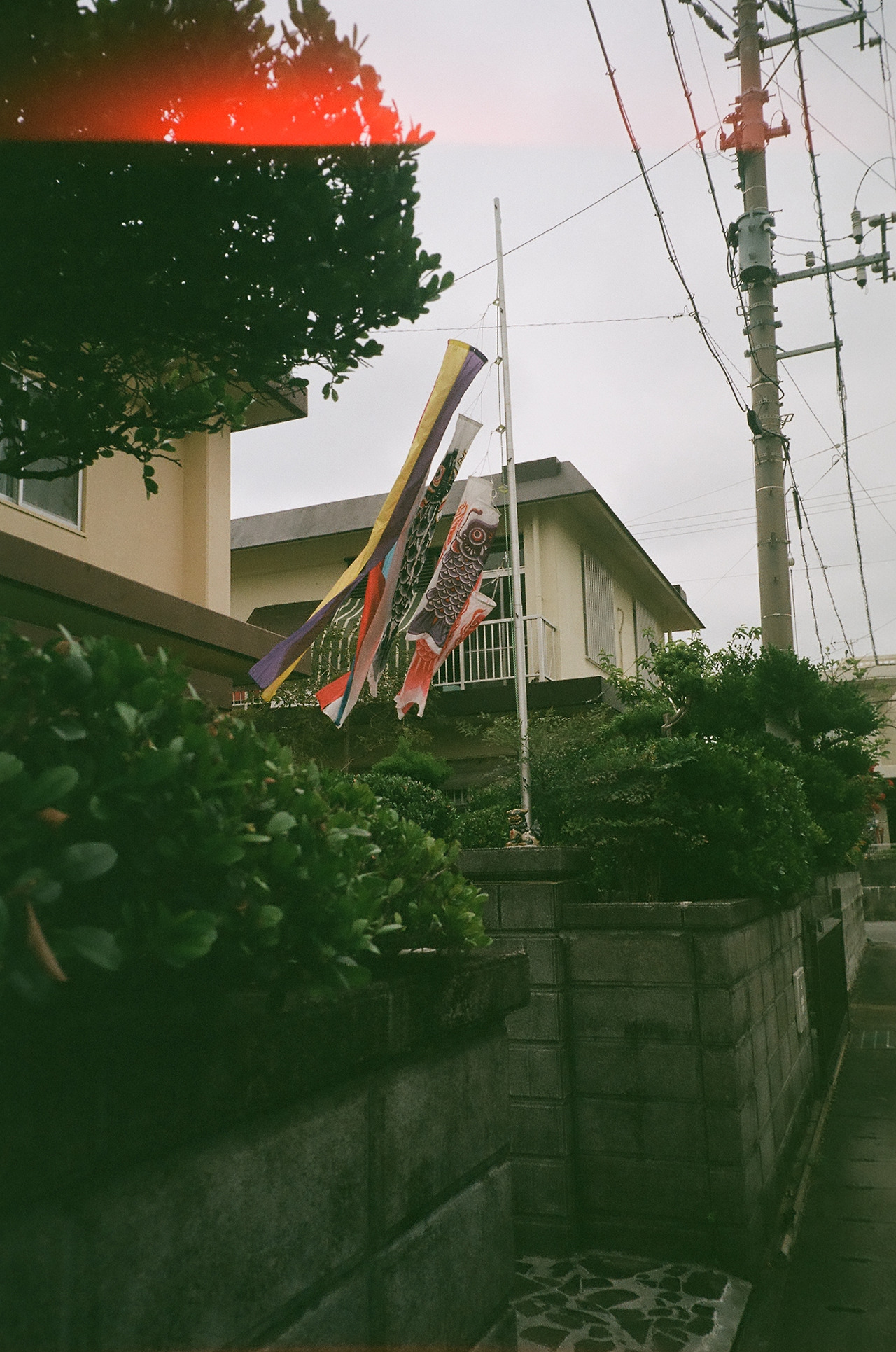 000281040015 (1).jpg