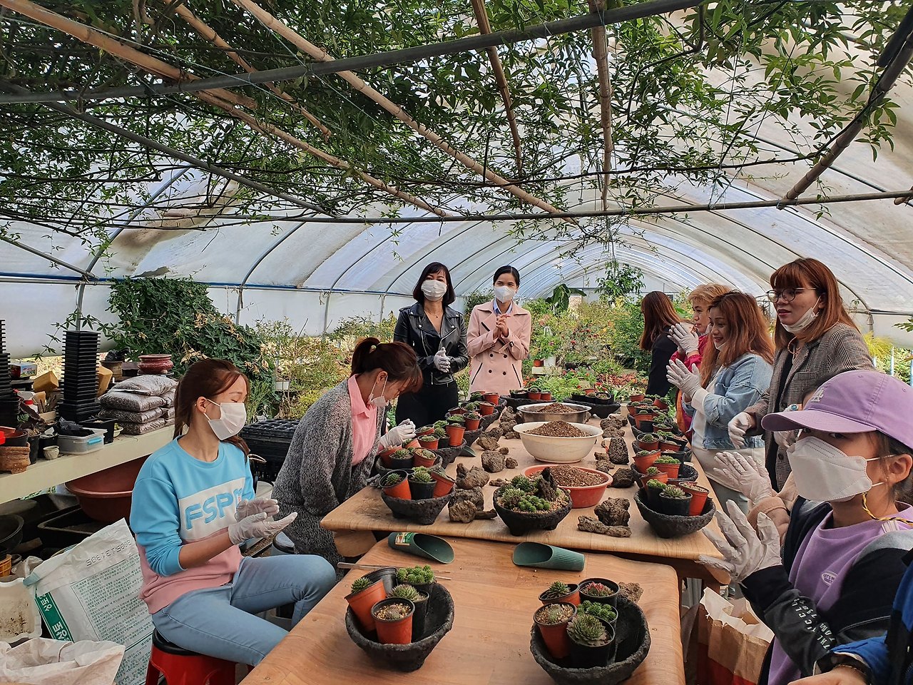 다육 식물 배우기.jpg