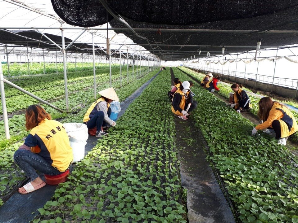 봉사활동 사진4.jpg