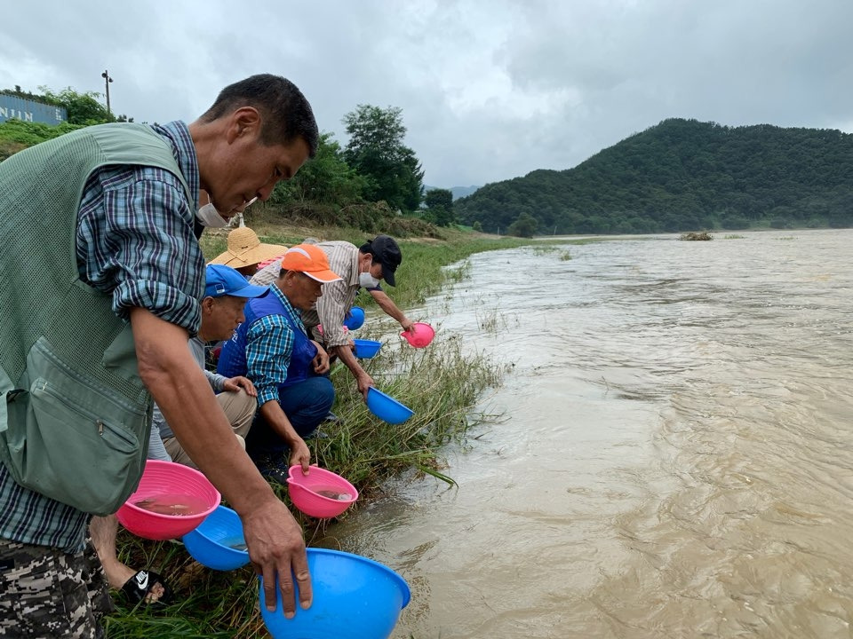 토종치어 방류3_옥천군.jpg