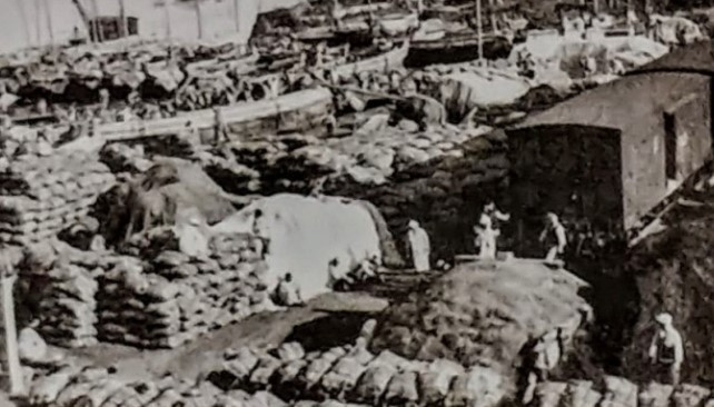 화면 캡처 2023-10-10 203942.jpg