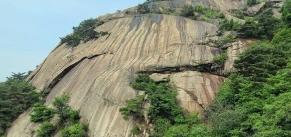 화면 캡처 2025-04-22 231603.jpg