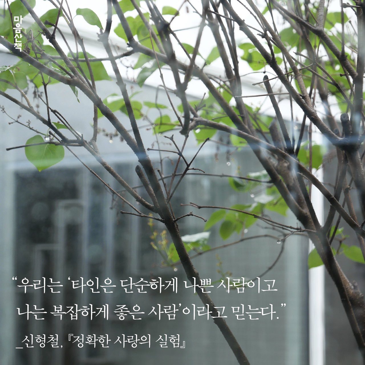 정확한 사랑의 실험.jpg