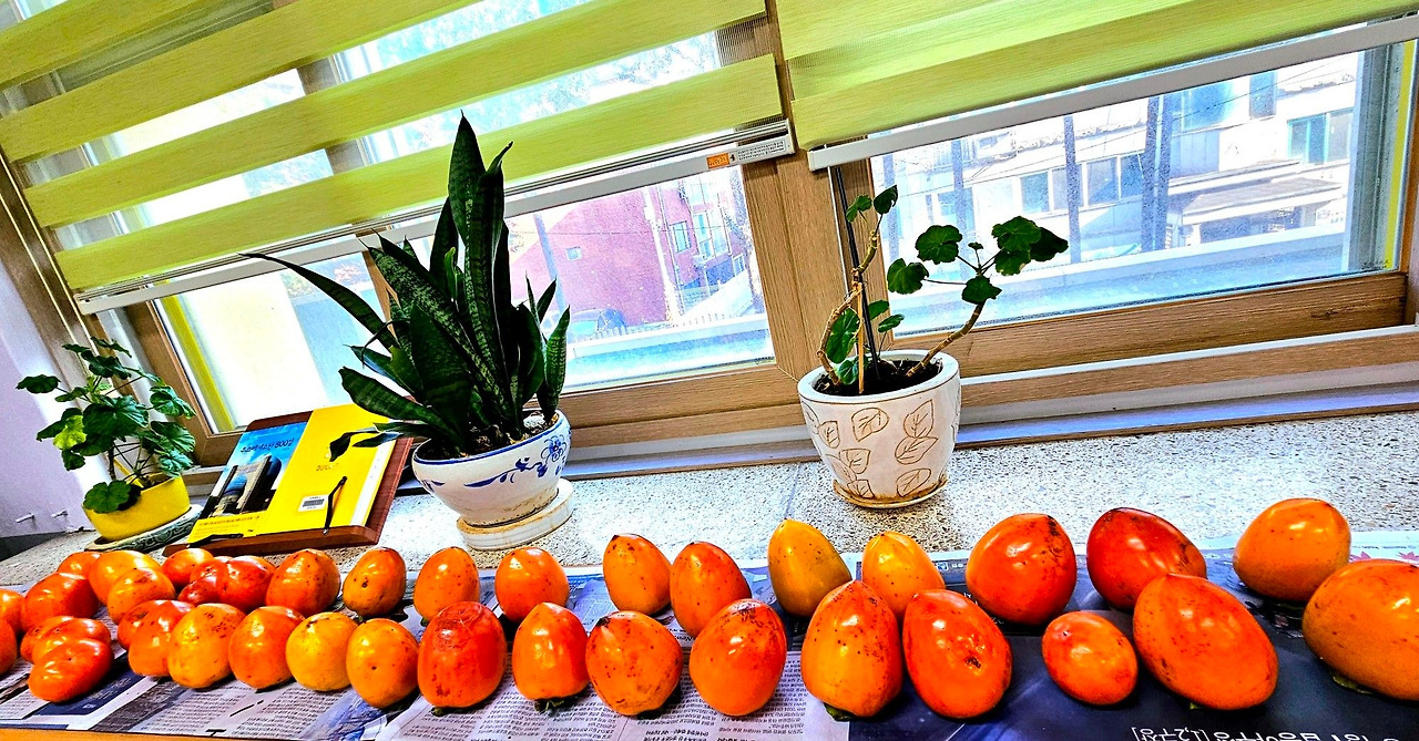 1754905043257 (1).jpg