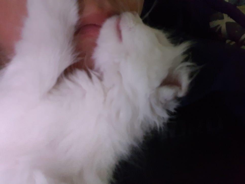 20180419_235720 (1).jpg