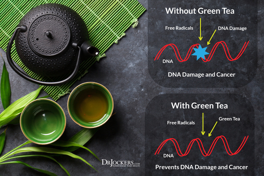cancer-green-tea.jpg