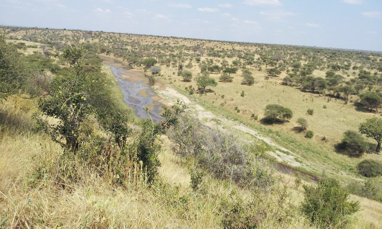 강과 끝없는 들판.jpg