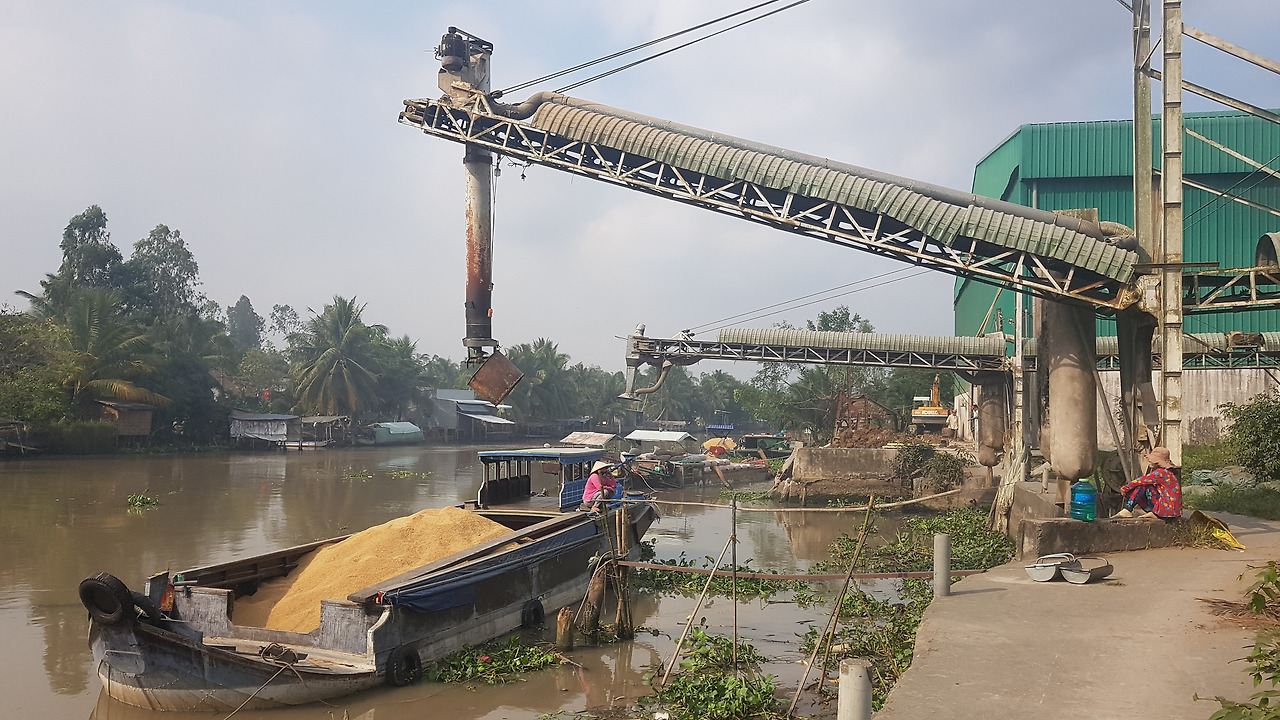 3.  산물 벼를 싣고 온 배와 콘베이어 벨트에 연결된 흡입관. Thuc Truong Xuan 회사, 20190221_153359.jpg