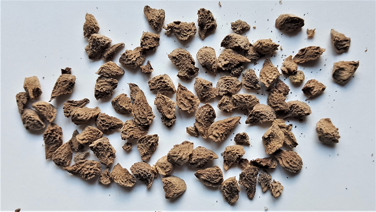 5. 씨, 대모산 불국사.jpg