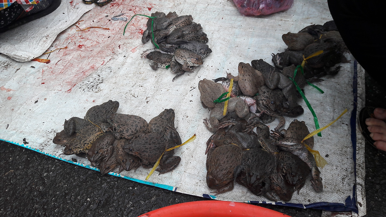 5.빈롱 꿀롱호텔, 주변 시장등, 20180602_064423 (5).jpg