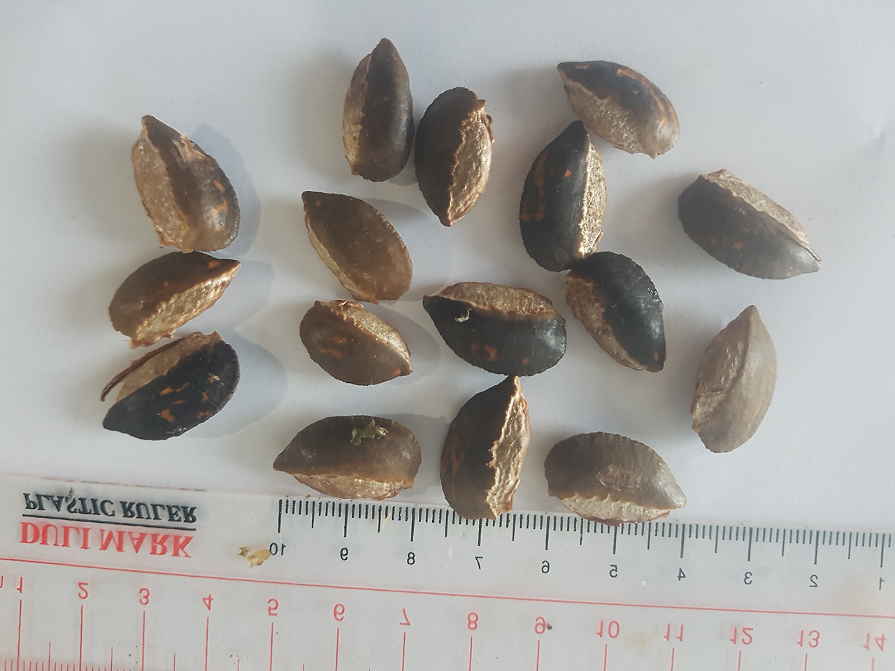 8.씨, 20181221_063459.jpg