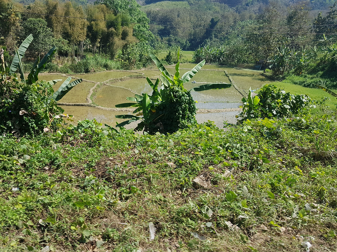 5. 다랑이 논, 20190207_131836.jpg