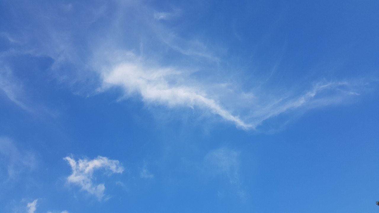 1. 20200823_181253 (2).jpg