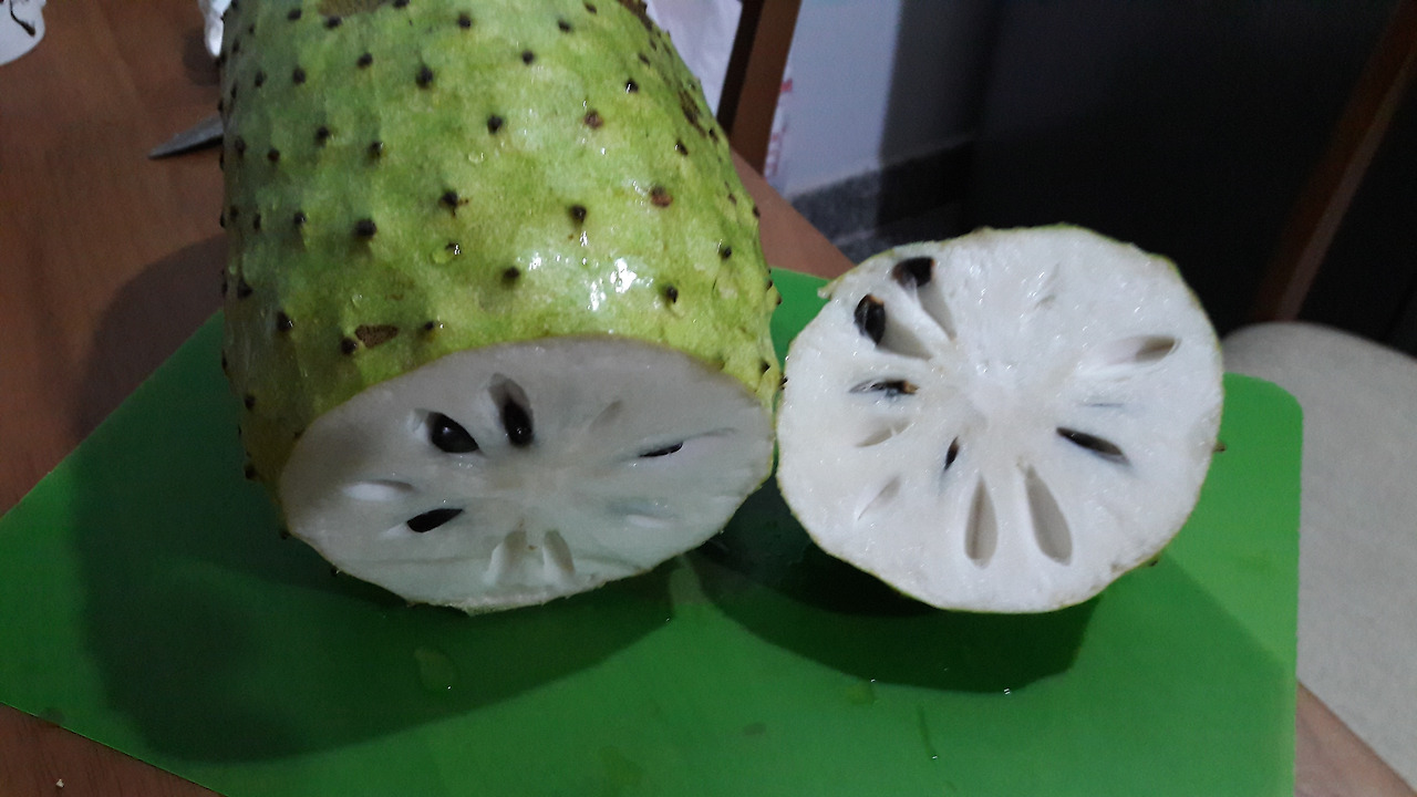 2. 열매 횡단면, 20170906_194958.jpg