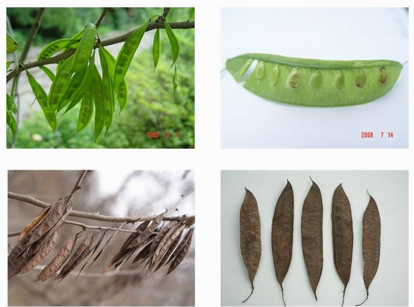 4.열매 그 안의 씨.jpg