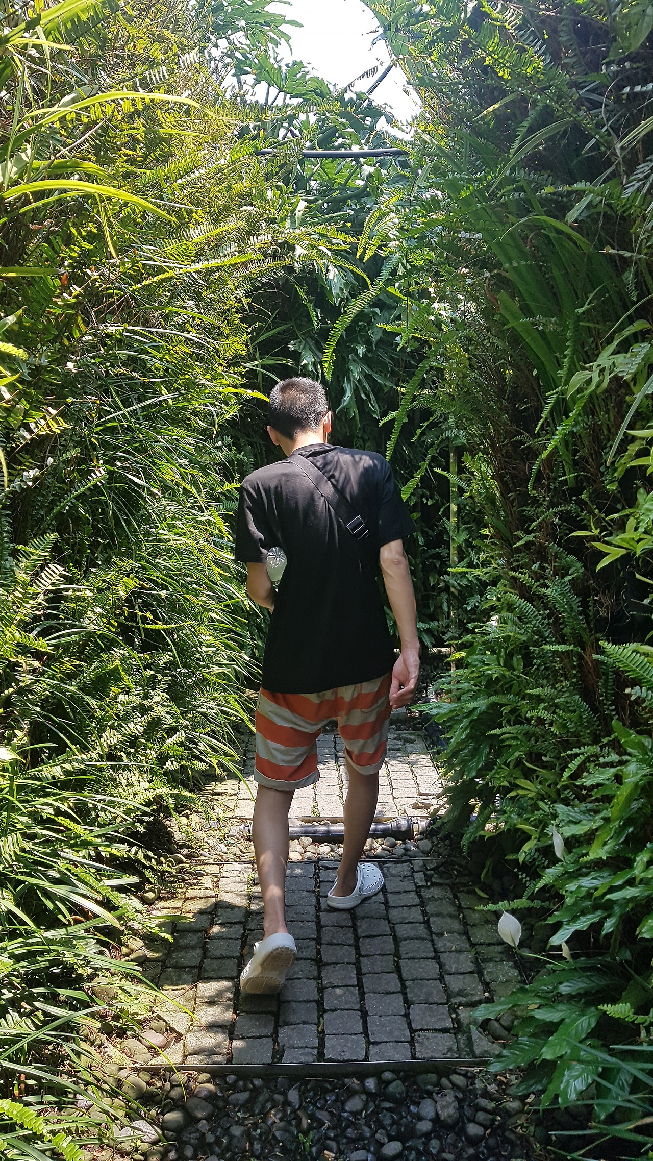 5. 미로(비밀)정원, 20190501_104213.jpg