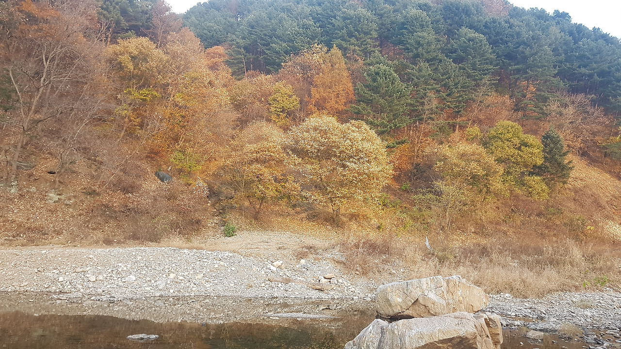 남산초교서천분교 앞 서사천 등산로 입구.jpg