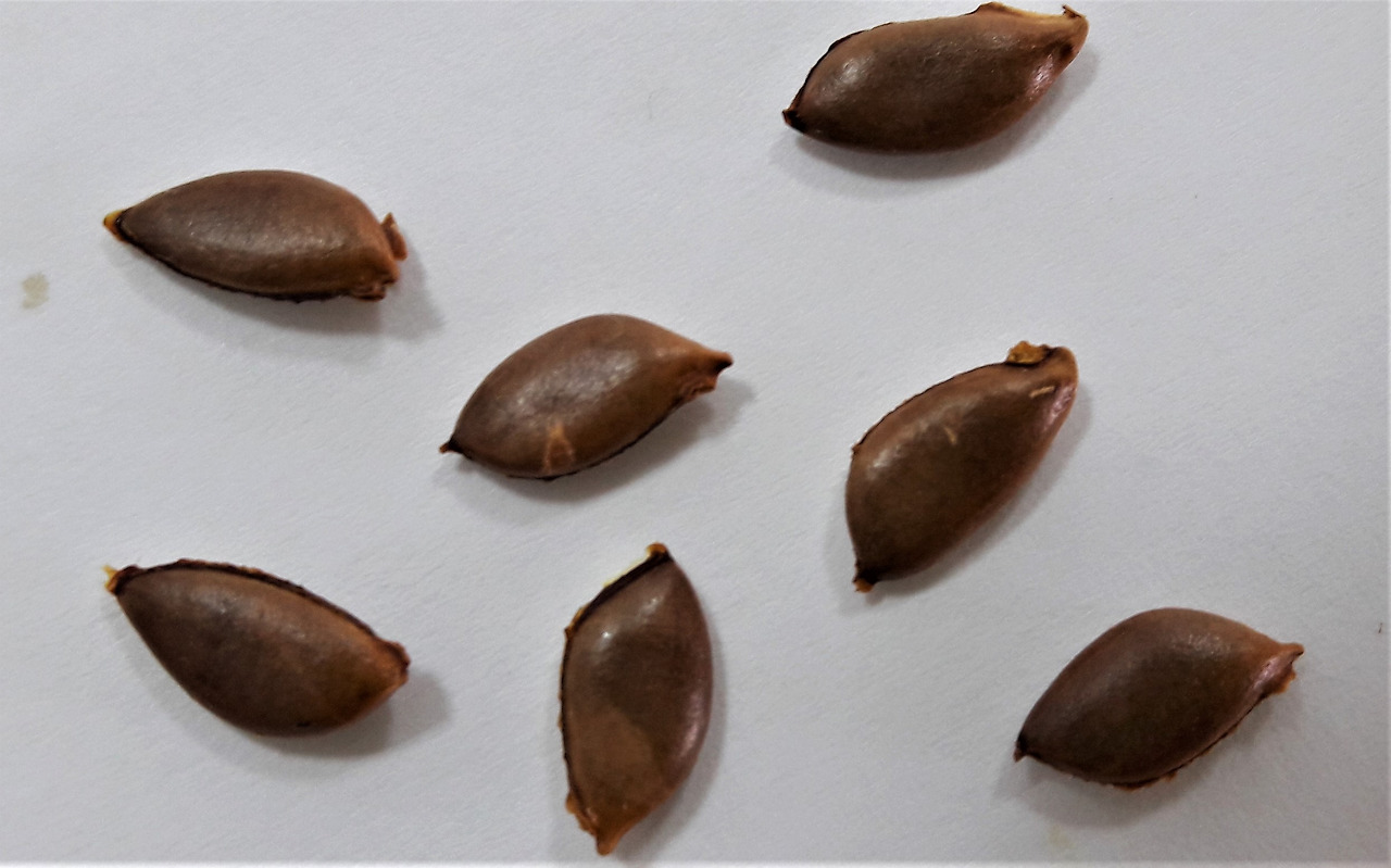 씨0, 20171204_151314 (2).jpg