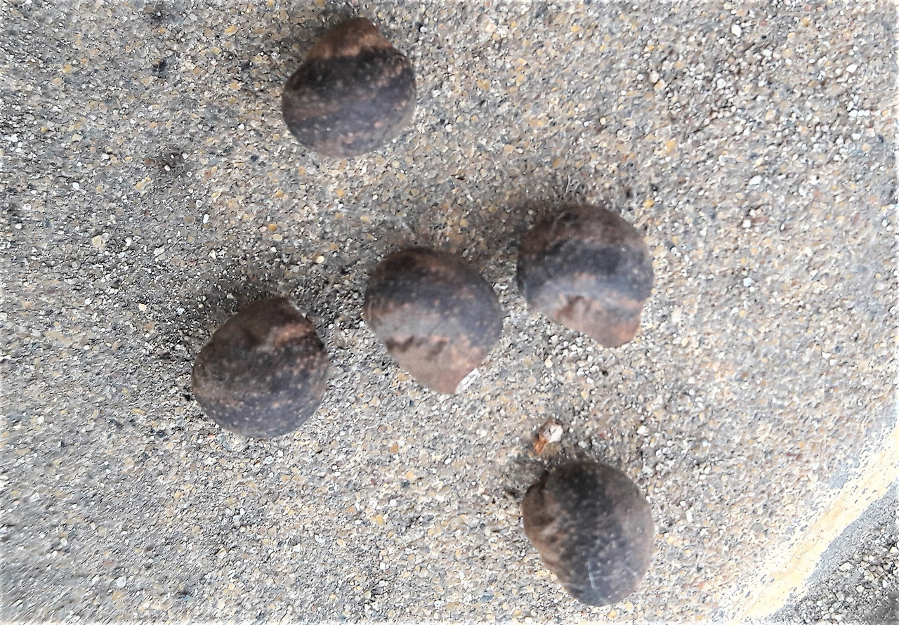 4.씨, 20180315_081546 (2).jpg