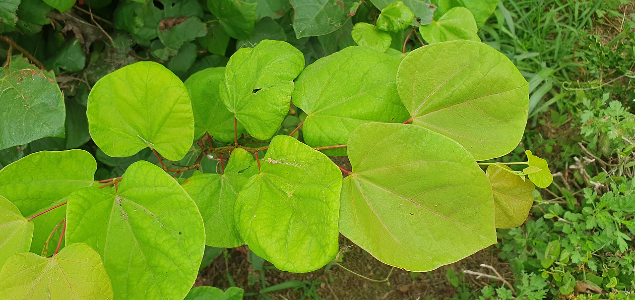 2. 20250731_122102.jpg