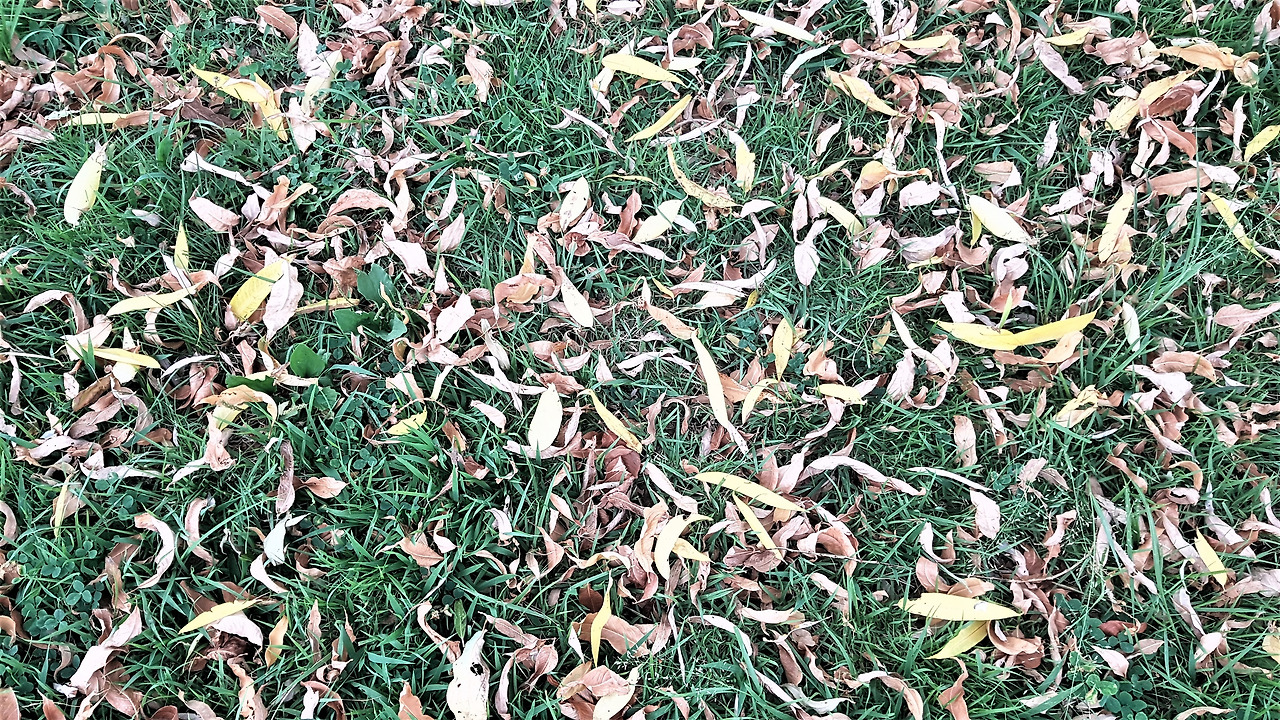 20210801_175950 (2).jpg