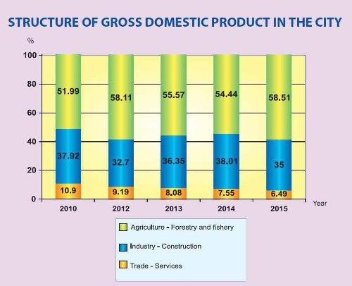 Structure of Gross Domestic Product in the Can Tho City.jpg