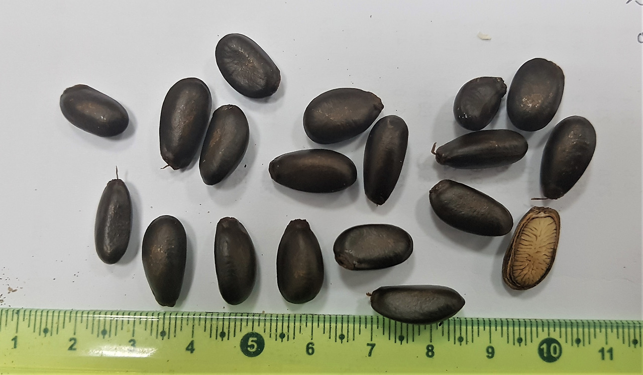 7. 씨, 20190605_153237 (2).jpg