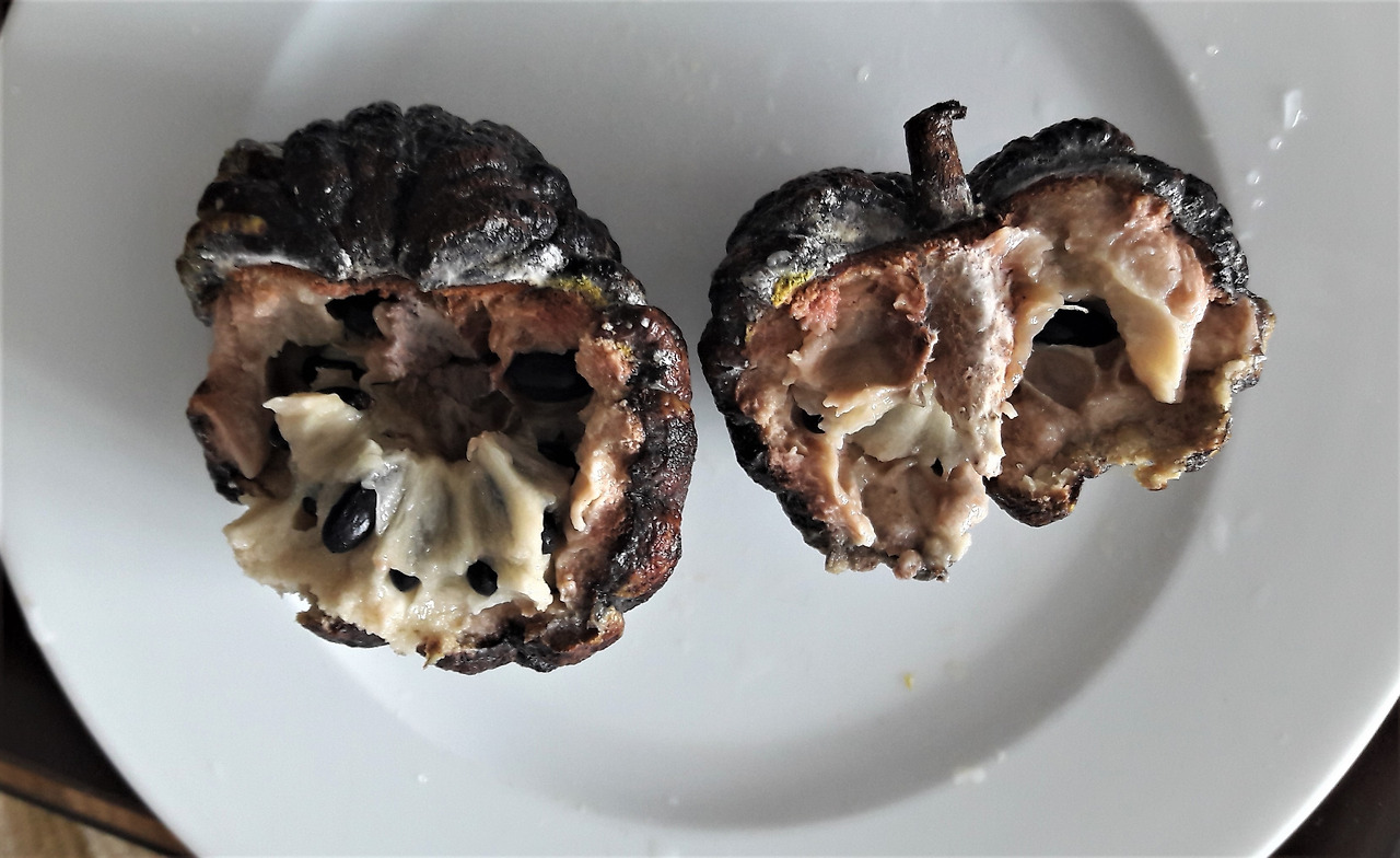 6. 부패해서 코르크 화 된 모습, 20171110_062825 (2).jpg