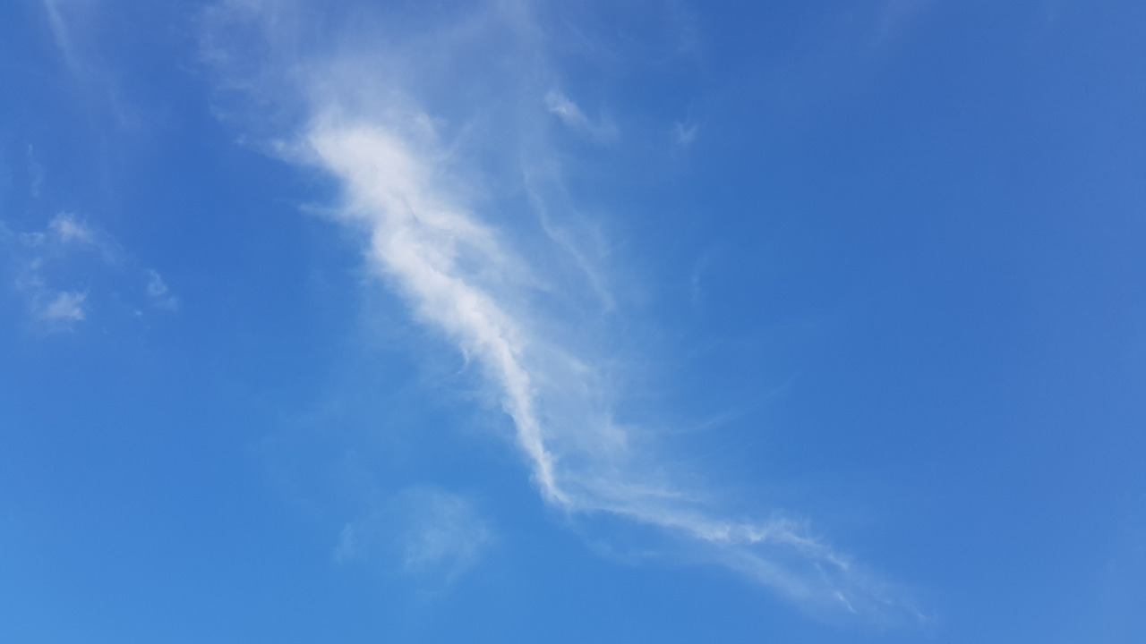 2. 20200823_181253 (3).jpg