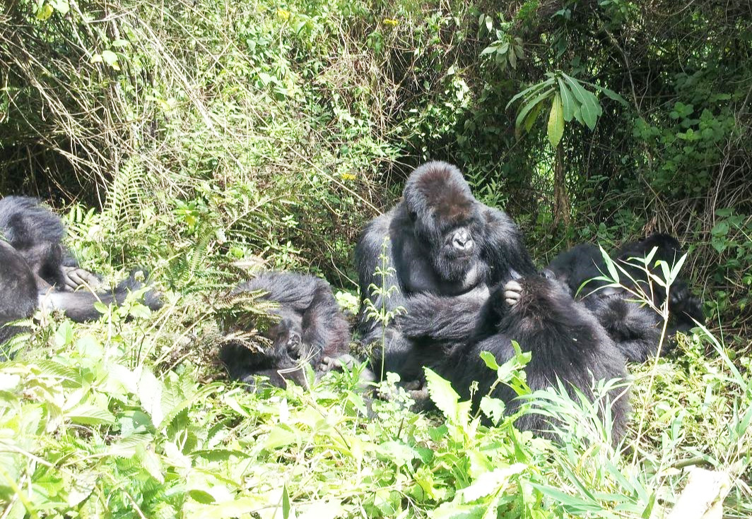 엄마가 아기 머리 다듬는 모습20131225_111239.jpg