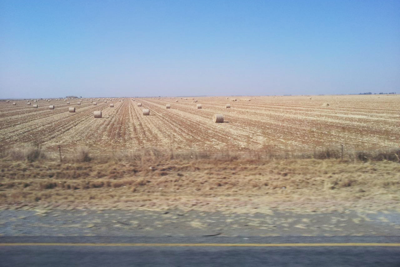 사일레이지가 널린 밭.jpg