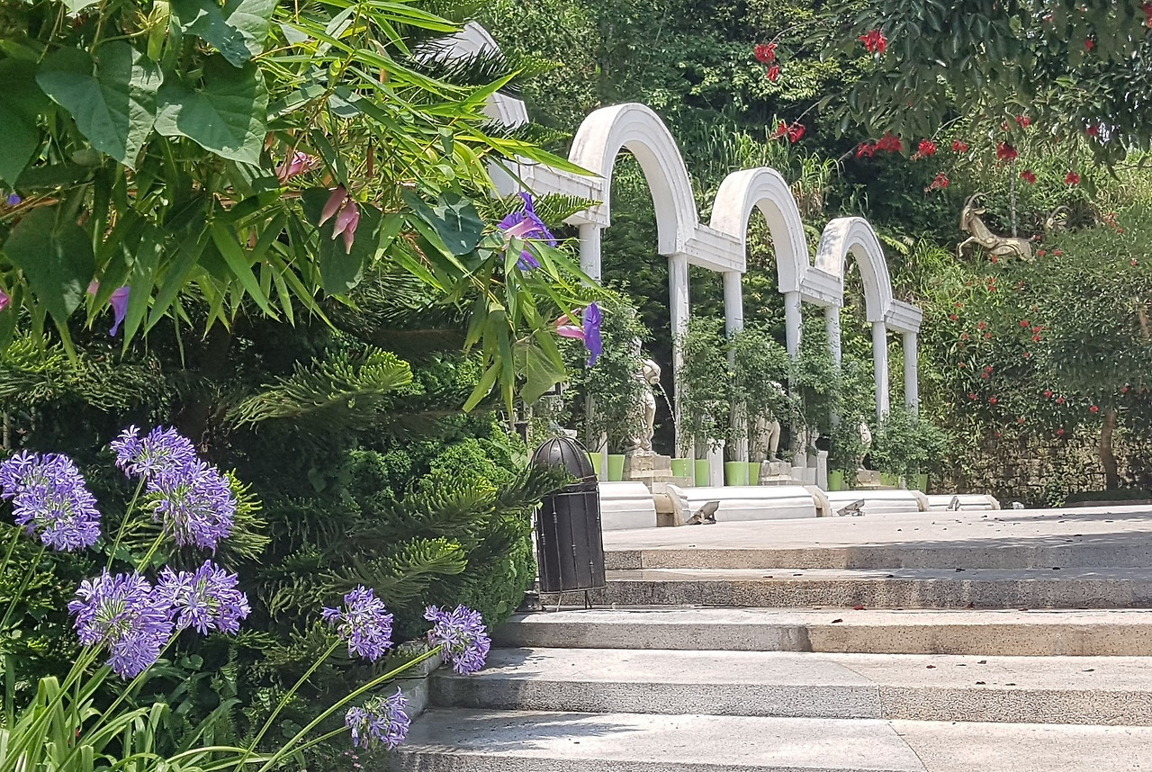 7. 기억정원, 20190501_104925-edited.jpg