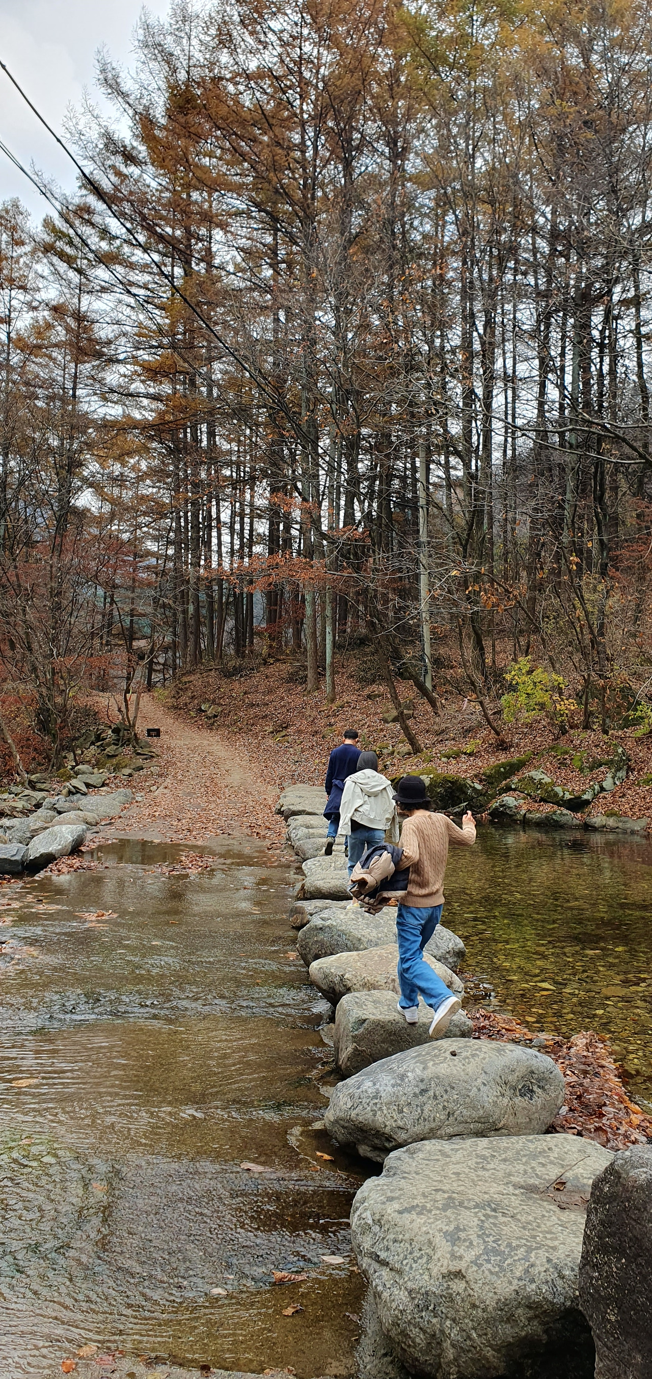 계곡에 놓인 3번째 징검다리(비오기 전),.jpg