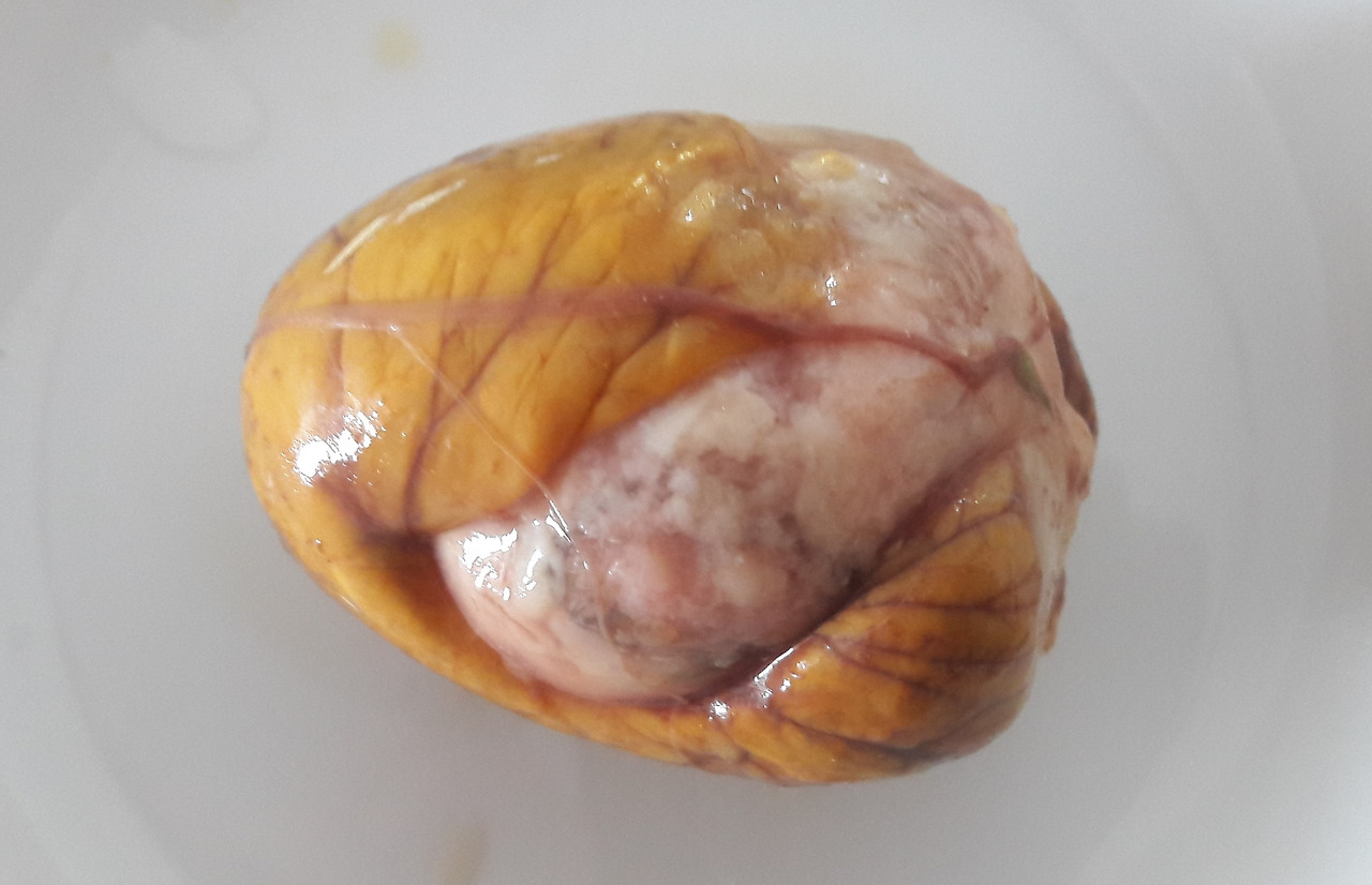 1. 껍질을 벗겨낸 삶은 곤달걀, 20180915_132341-edited.jpg