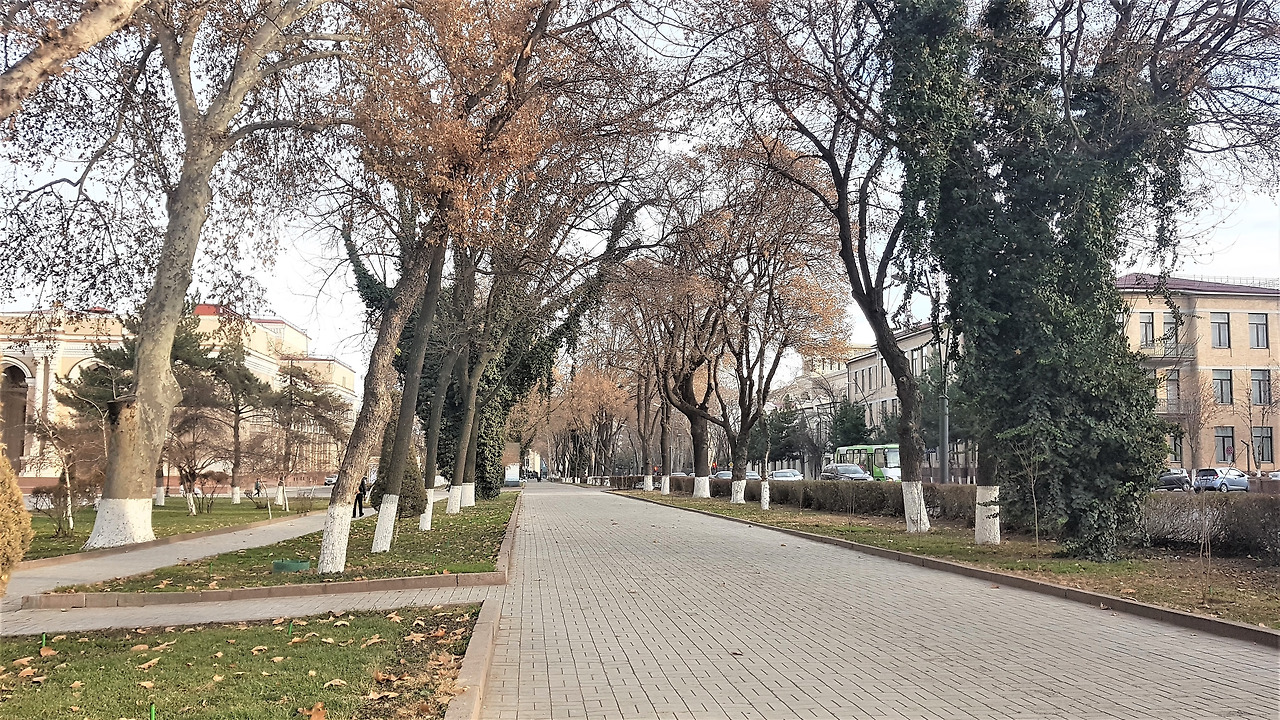 3.롯데호텔 주변 거리와 가로수.jpg