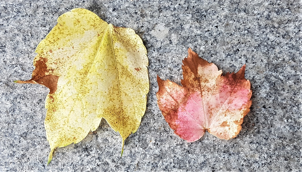 20210730_120519 (2).jpg