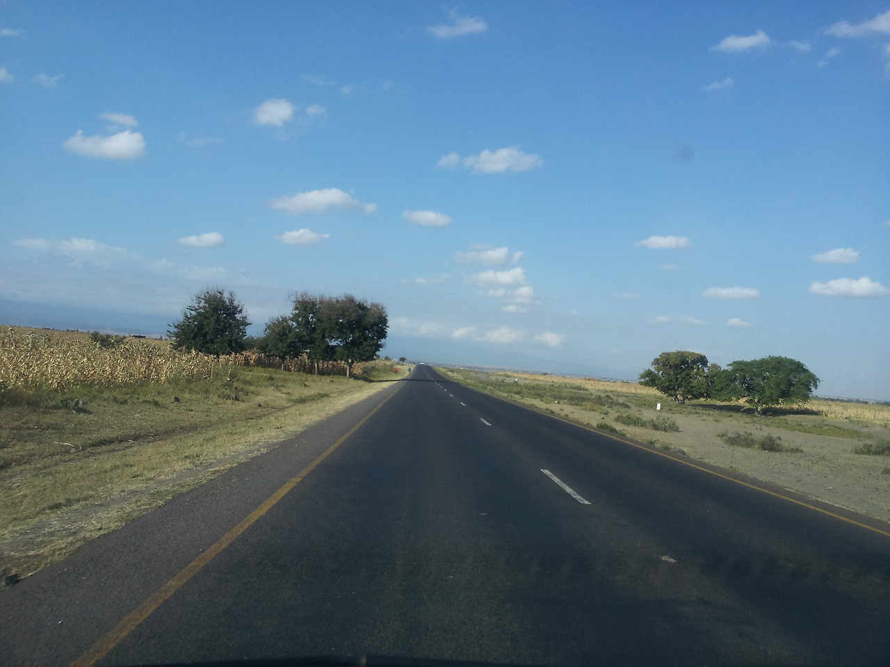 2. 킬리만자로공항에서 모시로 가는 길.jpg