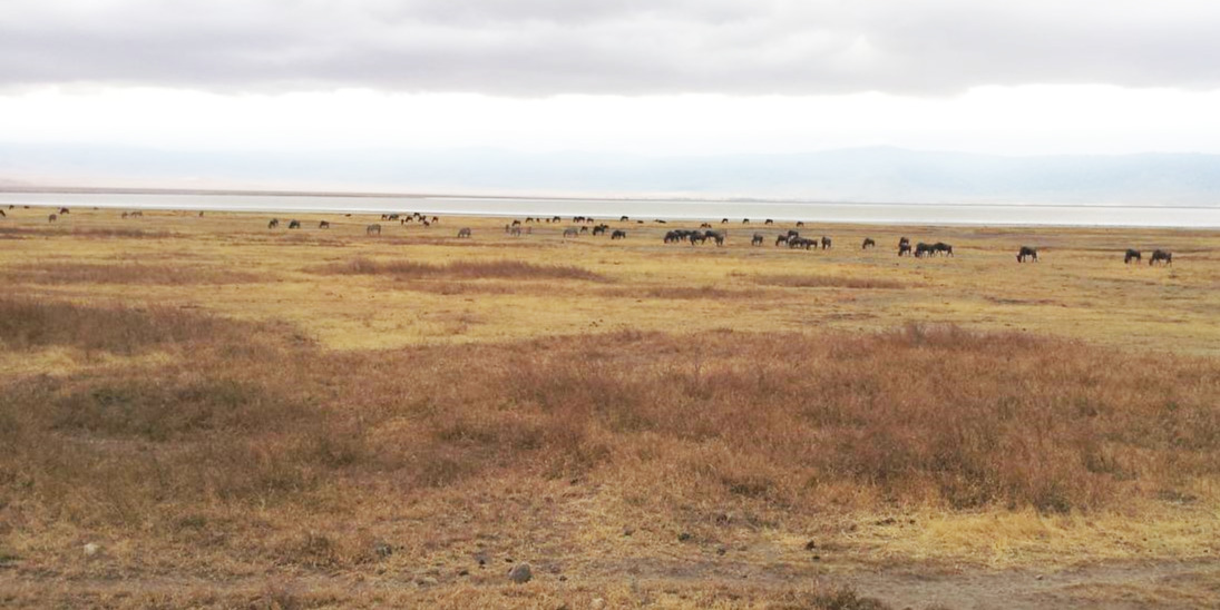 600여m를 내려가서 본 분화구 바닥.jpg