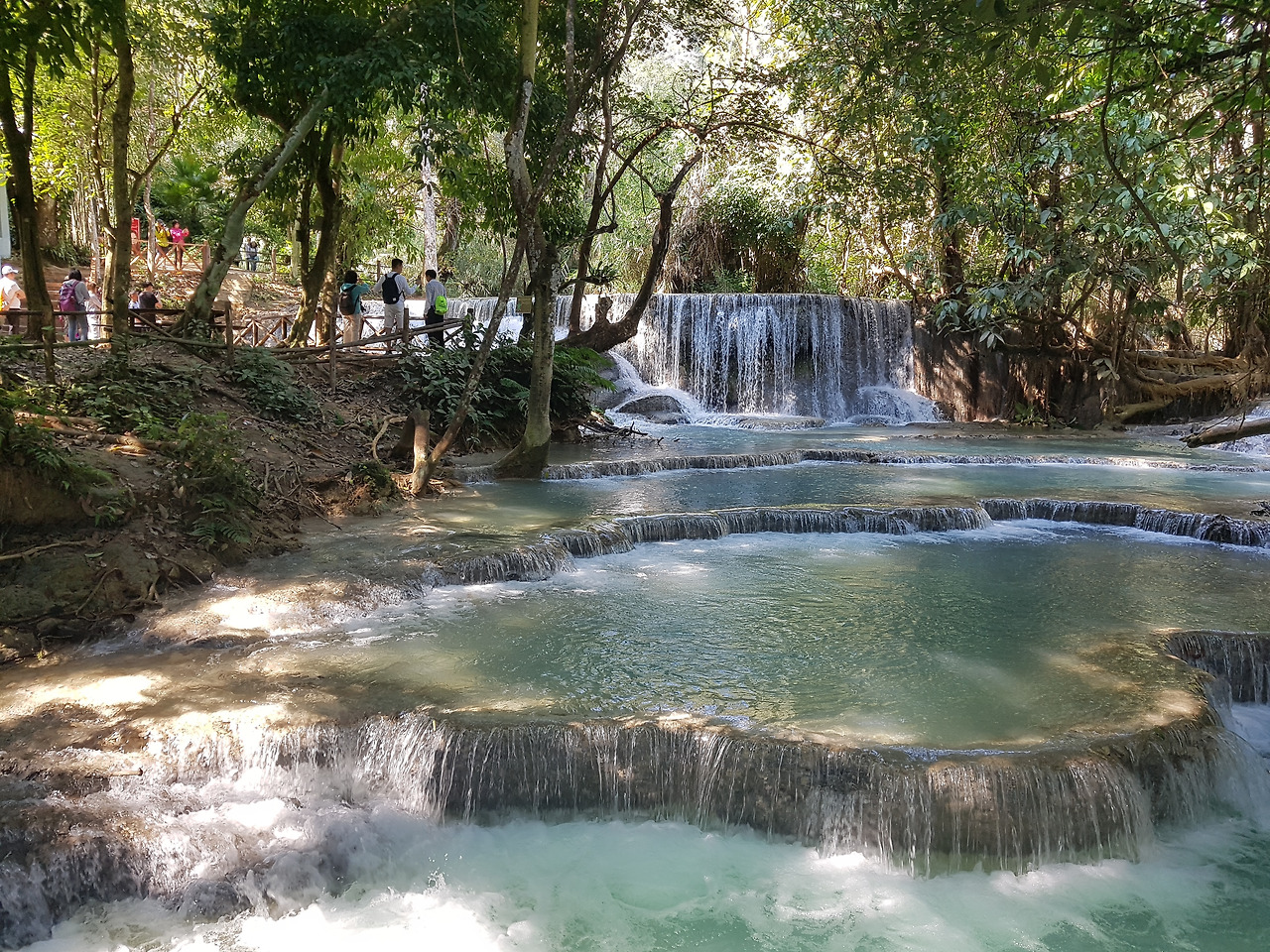 계단식 풀, 20190208_105533.jpg