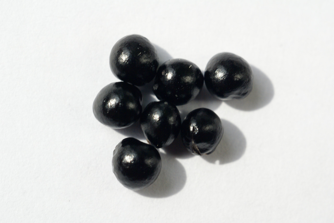 5.씨, 대모산 056.jpg