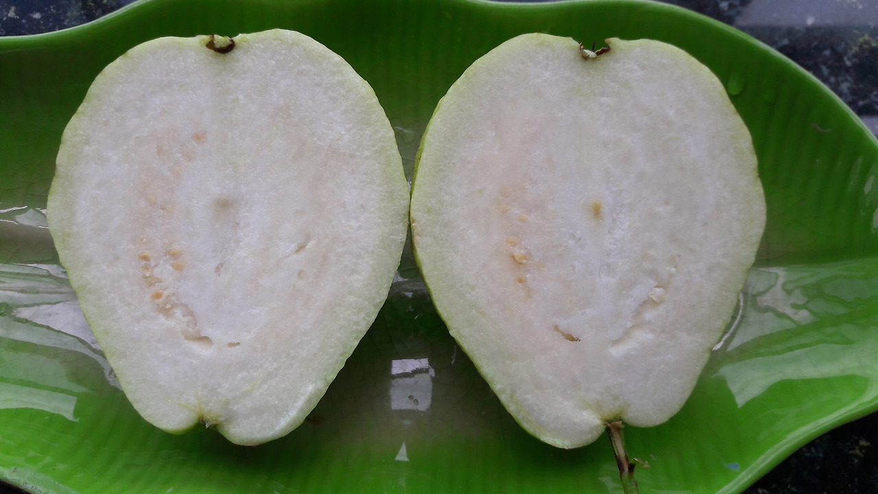 5.열매 종단면, 20170916_110832.jpg