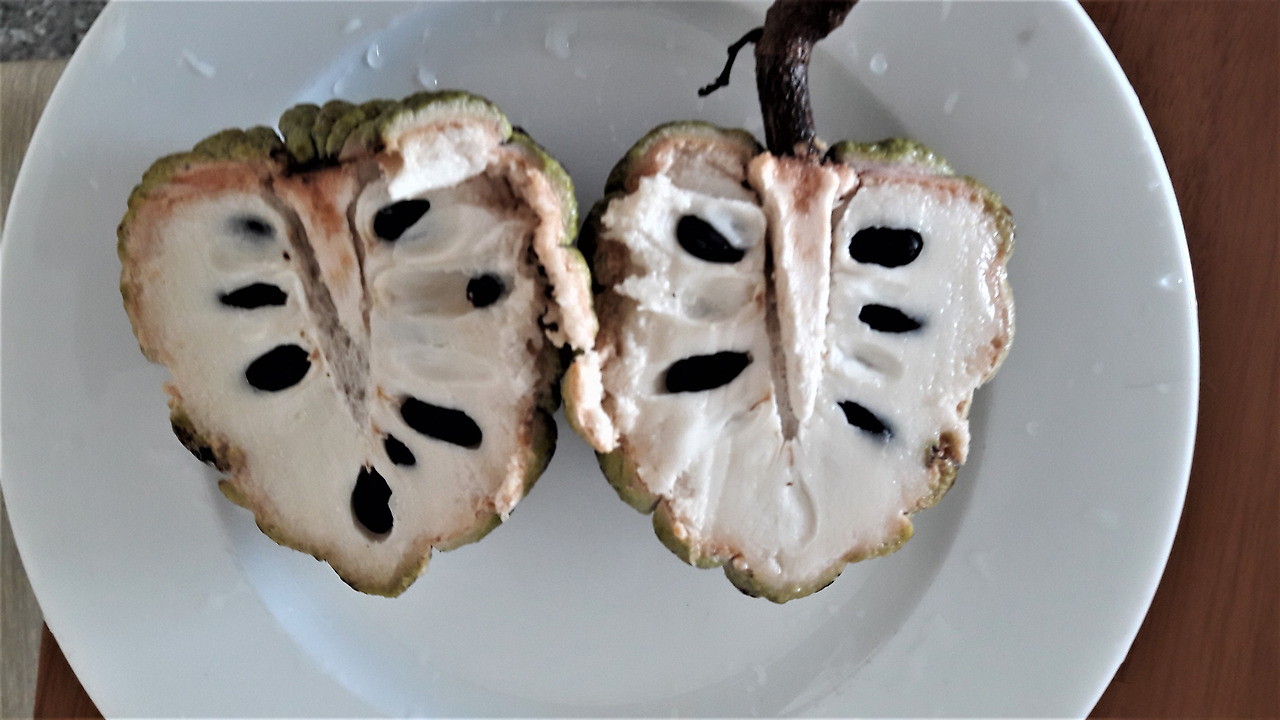 5. 열매 종단면, 20170908_064113 (2).jpg