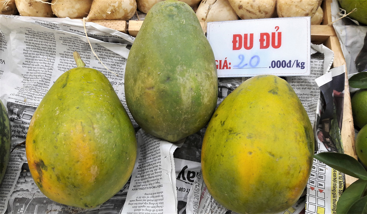 2.껀터시장에서 거래되는 파파야열매, 20170829_181543 (2).jpg