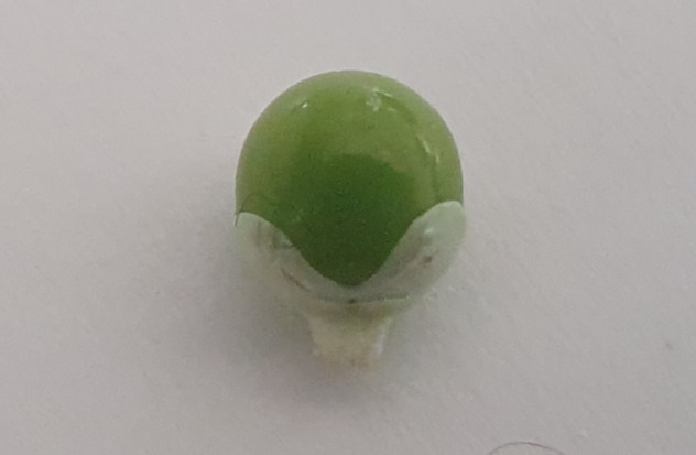 h.하얀 하트가 뚜렷한 어린 녹색 씨20250923_100012.jpg