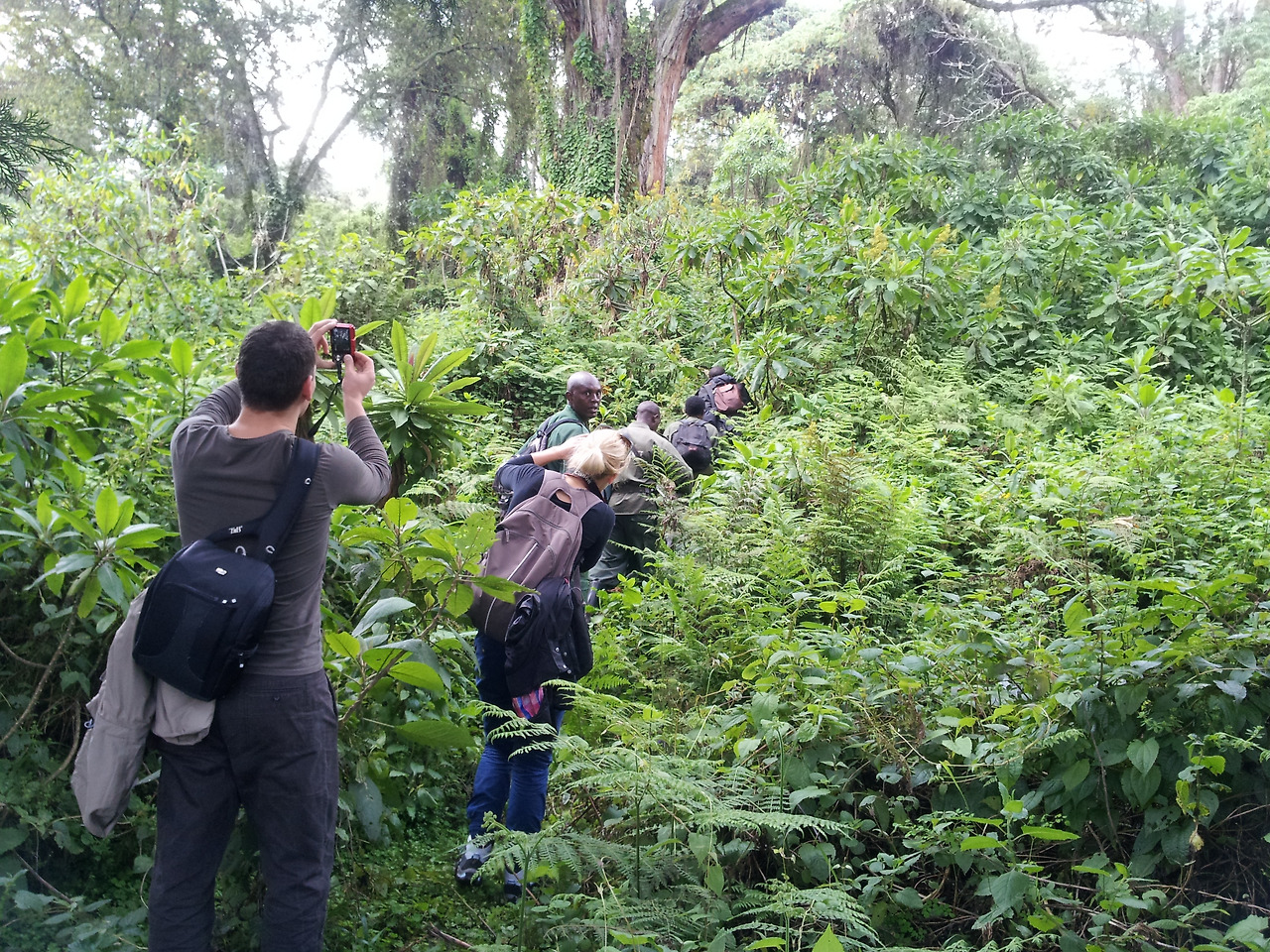 정글 속으로 가는 일행들20131225_102109.jpg