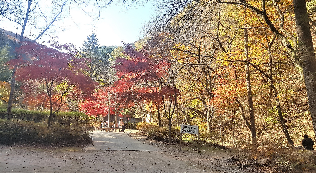 강촌 구곡폭포 가는 길e.jpg