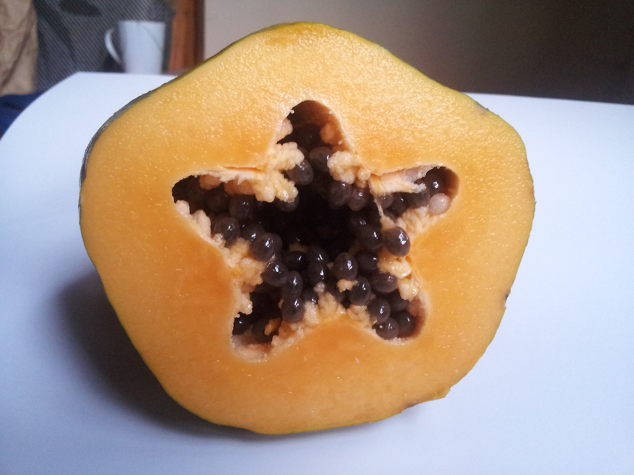 4.열매 횡단면, 20150305_063917.jpg